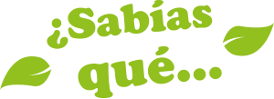 Sabías qué